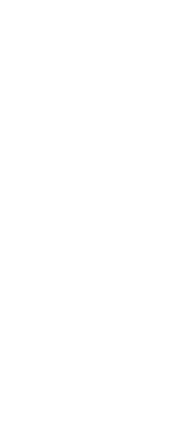 特別な夜を彩る一切れの贅沢